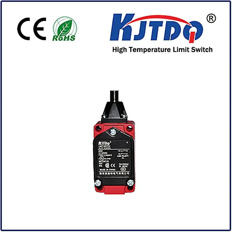 High temperature limit switch XWKE